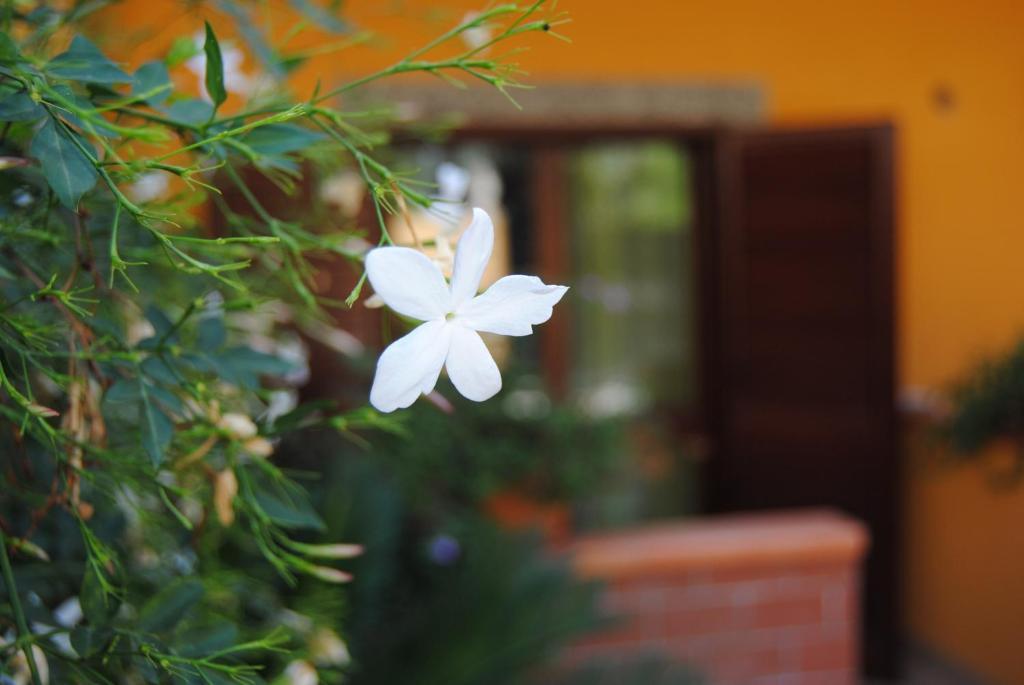 Residence Villa Il Glicine Taormina Szoba fotó