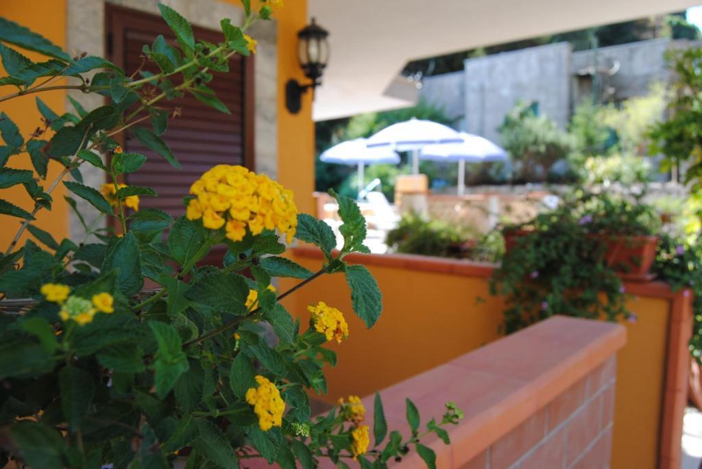 Residence Villa Il Glicine Taormina Szoba fotó